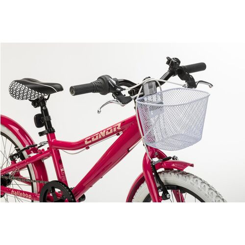 Conor Bicicleta HALEBOB Rosa. Bicicleta Infantil de Cuatro Ruedas. Bici  para niños y/o niñas de 6 a 8 años. Bike con Ruedas de Entrenamiento,  ruedines. Cuadro de Acero 20 Pulgadas. – Duamy